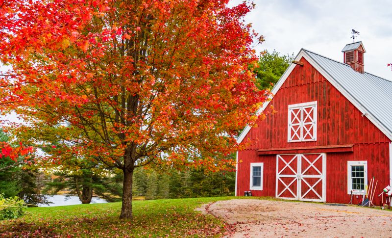 Barn Construction in Alpharetta, GA