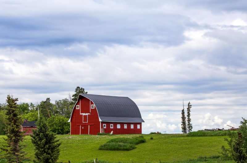 Barn Remodeling in Olathe, KS