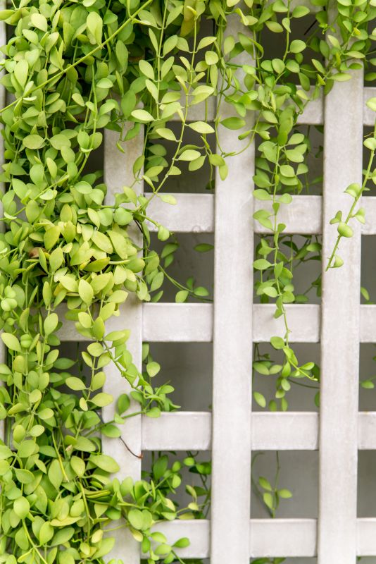 Garden Trellis Installation in Conroe, TX