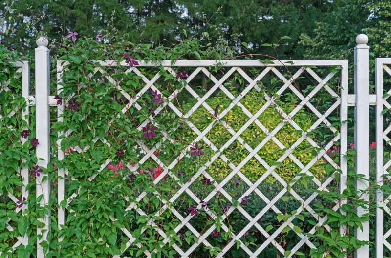 Grape Trellis Installation in Kansas City, KS