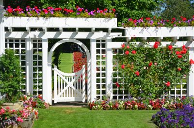 Privacy Arbor Installation in Wilmington, NC