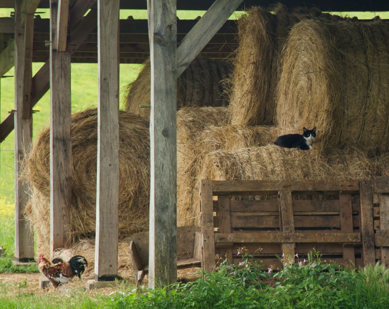 Stable Construction in Wilmington, NC