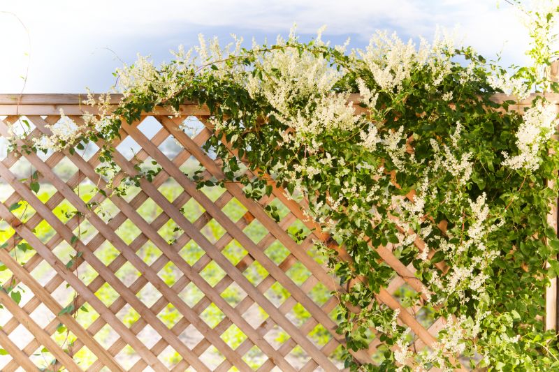 Trellis Fence Construction in Wilmington, NC