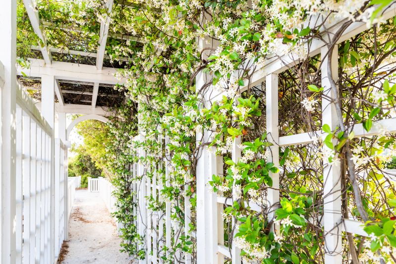 Wood Trellis Installation in Kansas City, KS